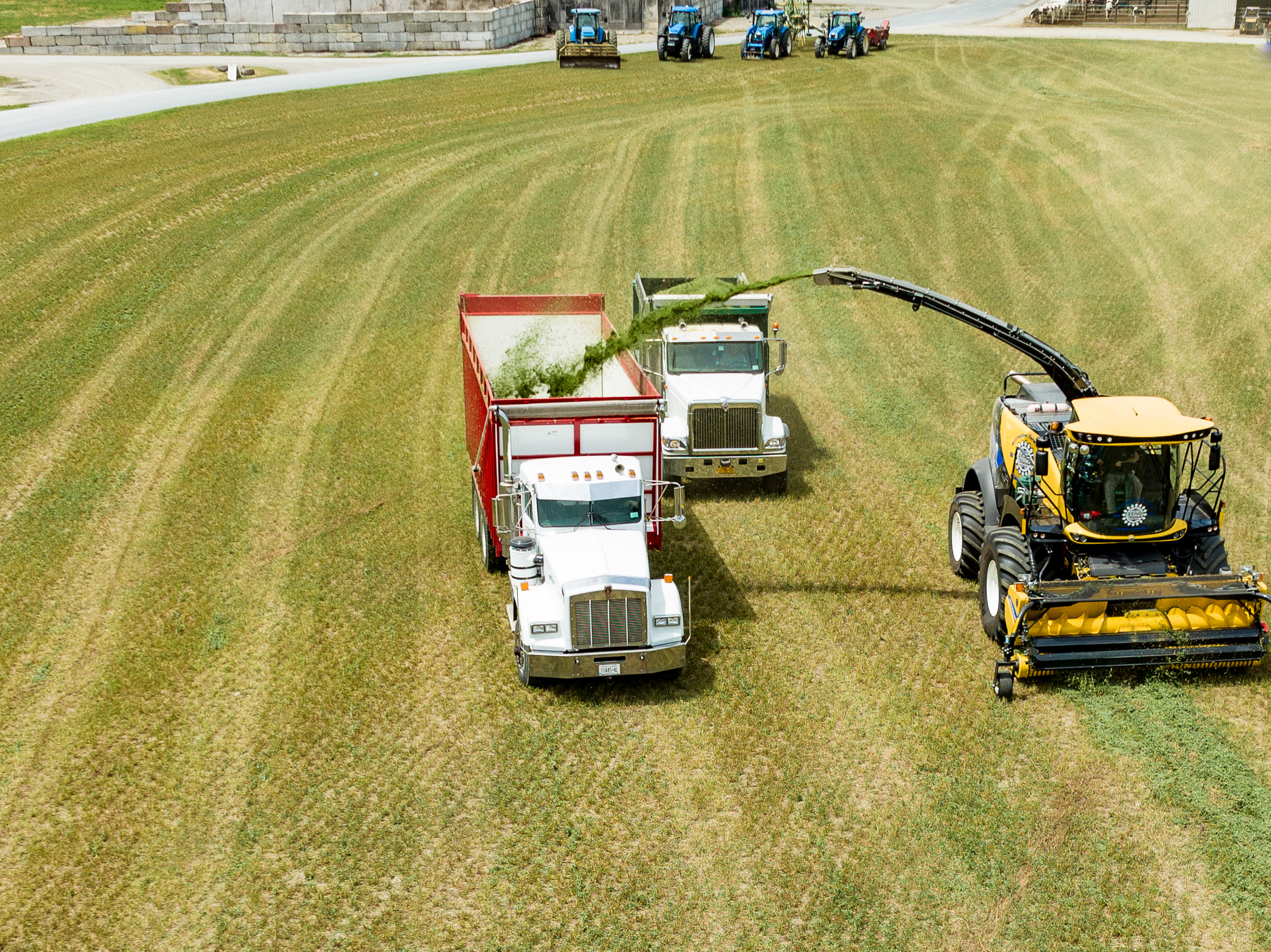 Commercial Farm Harvesting Operation in Upstate New York Commercial farm harvesting operation in upstate New York